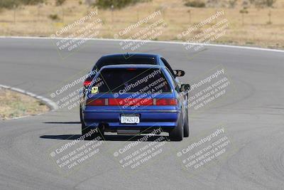 media/Nov-03-2023-Club Racer Events (Fri) [[fd9eff64e3]]/Yellow/Back Shots/
